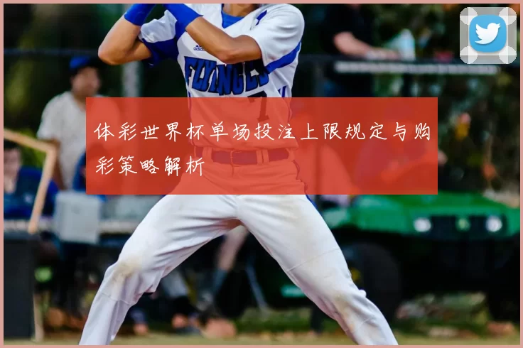 体彩世界杯单场投注上限规定与购彩策略解析