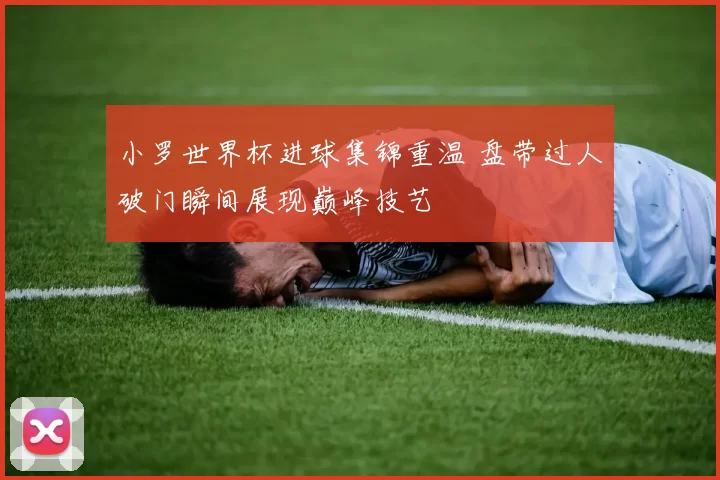 小罗世界杯进球集锦重温 盘带过人破门瞬间展现巅峰技艺